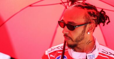 Lewis Hamilton shows true colours by going straight home immediately after F1 race | F1 | Sport