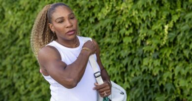 ‘I saw Serena Williams on Wimbledon practise courts – one thing stood out’ | Tennis | Sport