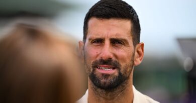 Novak Djokovic issues plea to UK authorities as Wimbledon champion banned from country | Tennis | Sport
