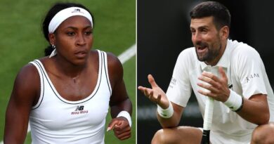 Novak Djokovic accusations, Coco Gauff’s phone tears, Wimbldon ‘thief’ | Tennis | Sport