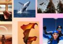 Apple is embracing the fantasy of AI photo editing Apple is embracing the fantasy of AI photo editing