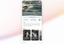 Google is letting social media stars customize their search result page