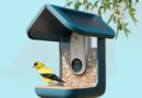 This video bird feeder is the surprise hit of Prime Day