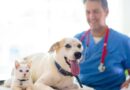 FDA clears emergency use of drug to fight screwworm infections in pets