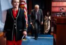 Big Tech’s desperate last push at AI regulation