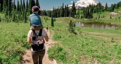National parks boost public health via physical activity and nature