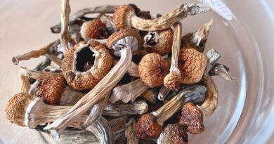 Psilocybin mushrooms linked to brain improvements in Alzheimer’s patient