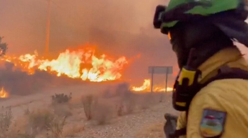 At least 11 killed by wildfire in southern Spain: “Majority of them are foreigners” At least 11 killed by wildfire in southern Spain: “Majority of them are foreigners”