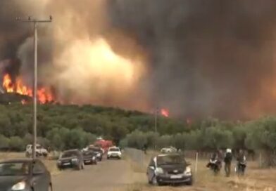 Firefighters battle blaze in France’s Fontainebleau forest amid deadly fires in Europe Firefighters battle blaze in France’s Fontainebleau forest amid deadly fires in Europe