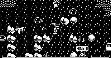The tiniest MMO