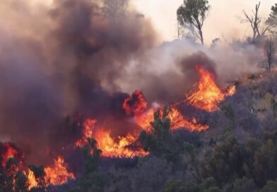 Sicily battles wildfires, its history of Mafia sparking flames resurfaces Sicily battles wildfires, its history of Mafia sparking flames resurfaces