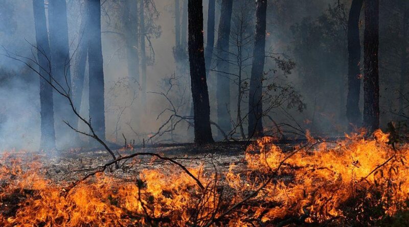 Wildfires in France and Spain force 200,000 to flee as crews continue to battle untamed blazes