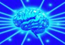 The loss of Situational Awareness The loss of Situational Awareness