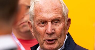 Helmut Marko speaks out on Christian Horner sacking as Red Bull chief in dramatic U-turn | F1 | Sport