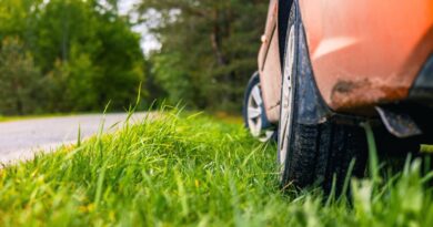 ‘My husband got revenge on neighbour when they let kid park on grass’ ‘My husband got revenge on neighbour when they let kid park on grass’