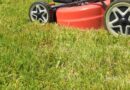 Monty Don’s gardening mistake that could ruin your lawn
