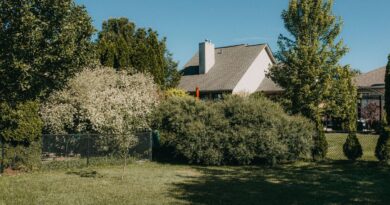 Resident livid after neighbour reports them for leaving item on lawn