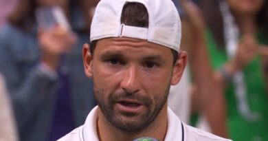 Wimbledon star forced to halt on-court interview and chokes back tears | Tennis | Sport