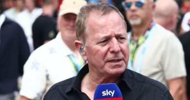 Martin Brundle latest F1 legend slammed by Verstappens: ‘Idiot’ | F1 | Sport