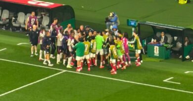 England vs Mexico bust-up as Alan Shearer says ‘punches’ thrown | Football | Sport
