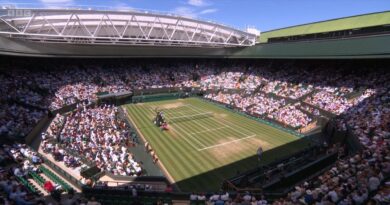 Wimbledon match halted for medical emergency as umpire makes announcement | Tennis | Sport
