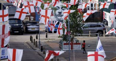 Unlikely England fan spotted on ‘UK’s most patriotic estate’ | Weird | News