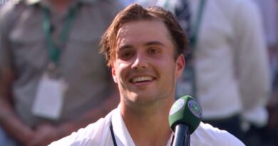 Arthur Fery interview interrupted by boos as Wimbledon crowd make feelings known | Tennis | Sport