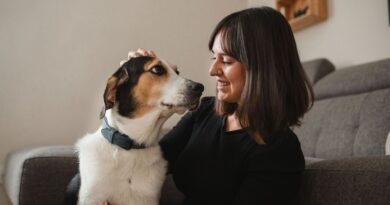Pet owners urged to do 1 thing for dogs on Thursday