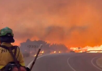 Los Gallardos: At least 4 ‘Brits’ among 11 dead in wildfire as bodies found in car | World | News Los Gallardos: At least 4 ‘Brits’ among 11 dead in wildfire as bodies found in car | World | News