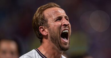 Should Harry Kane get a knighthood if England win World Cup? Vote now | Football | Sport