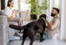 3 tell-tale signs in dog’s body language shows you’re the favourite