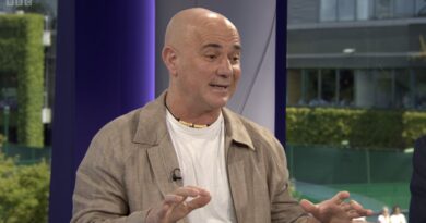 Wimbledon fans split on Agassi as BBC sent immediate plea | Tennis | Sport
