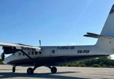 Bahamas plane crash kills 10 near Nassau as Flamingo Air suspended after incidents | World | News