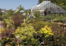 Iconic garden centre announces UK closure after 36 years