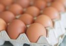 Should eggs be stored in the fridge or cupboard? Four chefs share their verdict