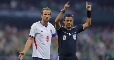 World Cup fans may get wish after England referee row | Football | Sport