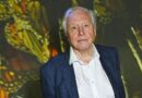 David Attenborough’s advice to owners of 15 million dogs in the UK