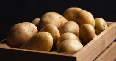I asked three chefs where potatoes should be stored – they all gave same verdict