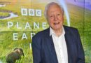 David Attenborough’s plea for future – ‘what happens next is up to us’ David Attenborough’s plea for future – ‘what happens next is up to us’