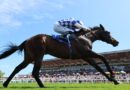 Claim a free pair of horse racing tickets | Racing | Sport Claim a free pair of horse racing tickets | Racing | Sport