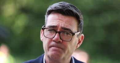 Andy Burnham warning as UK households warned of ‘new £10bn tax’ | Politics | News