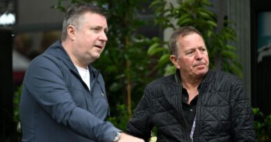 David Croft agrees with Martin Brundle as F1 fans pay the price | F1 | Sport
