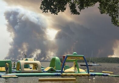 ‘I witnessed the horror wildfires in France – it made me realise 1 thing’ | World | News