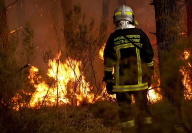 France wildfires: Man arrested after 44 fine wine bottles ‘stolen’ from home | World | News