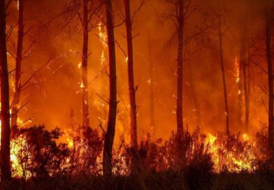 Bordeaux wildfires MAPPED as horror blaze threatens ‘overwhelmed’ city of 850,000 | World | News