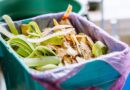 Binman shares best way to stop maggots in your food waste bin Binman shares best way to stop maggots in your food waste bin
