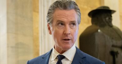 Gavin Newsom wants to ban the “buy, borrow, die” tax strategy. Here’s what it is. Gavin Newsom wants to ban the “buy, borrow, die” tax strategy. Here’s what it is.