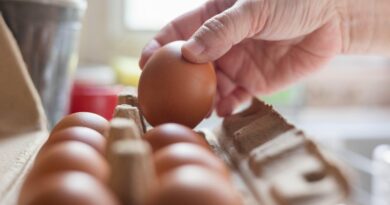 1.6 million eggs recalled at Kroger and other stores over salmonella risk, FDA says 1.6 million eggs recalled at Kroger and other stores over salmonella risk, FDA says