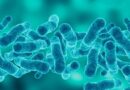 Legionnaires’ disease kills one in Manhattan’s Upper East Side outbreak