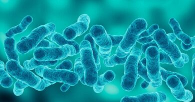 Legionnaires’ disease kills one in Manhattan’s Upper East Side outbreak